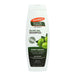 Palmers Conditioner 400ml Olive Oil Formula Shine Therapy - Intamarque - Wholesale 0010181025396