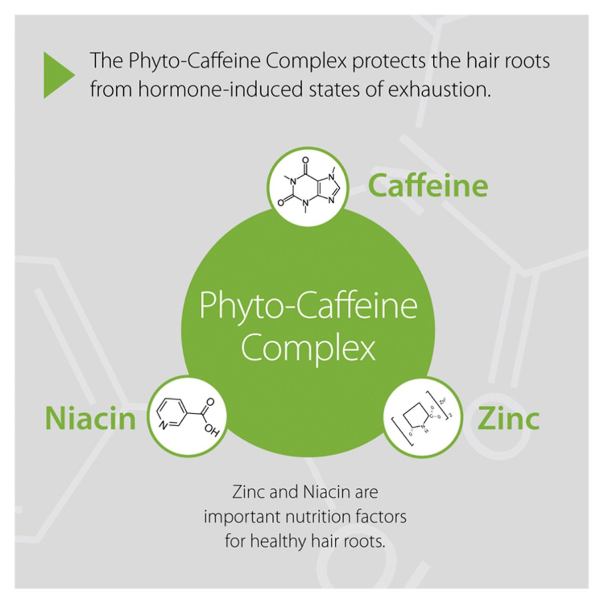 Plantur 39 Tonic Phyto - Caffeine 200ml - Intamarque - Wholesale 4008666701909