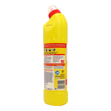 Domestos Bleach 750ml Citrus - Intamarque - Wholesale 5000186811112