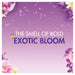 Bold All in 1 Pods Exotic Bloom 28 Washes - Intamarque - Wholesale 8006540918562