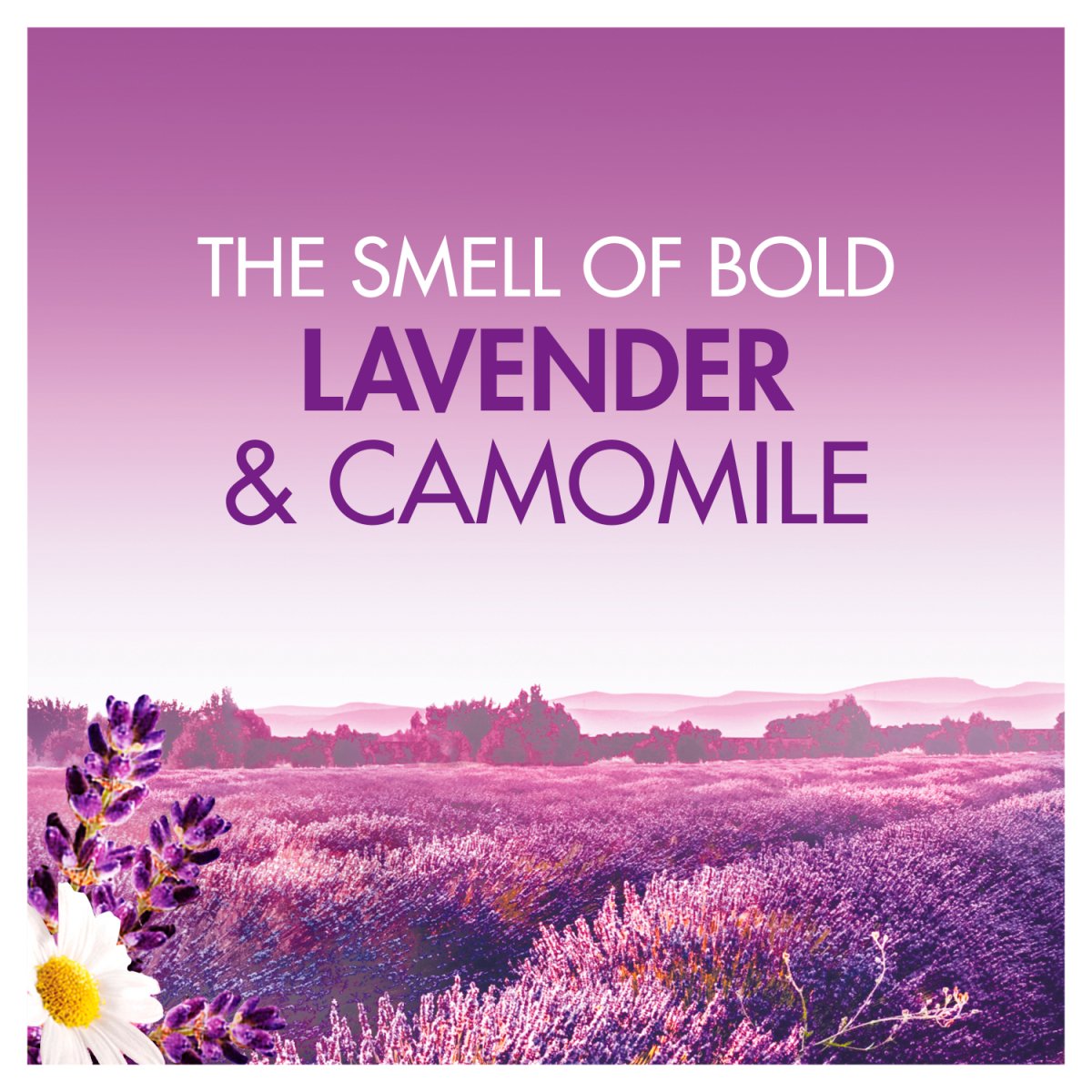 Bold All In 1 Pods Washing Liquid Capsules Lavender And Camomile 33 Washes - Intamarque - Wholesale 8006540918647