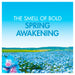 Bold All In 1 Pods Washing Capsules Spring Awakening 51 Washes - Intamarque - Wholesale 8006540918814