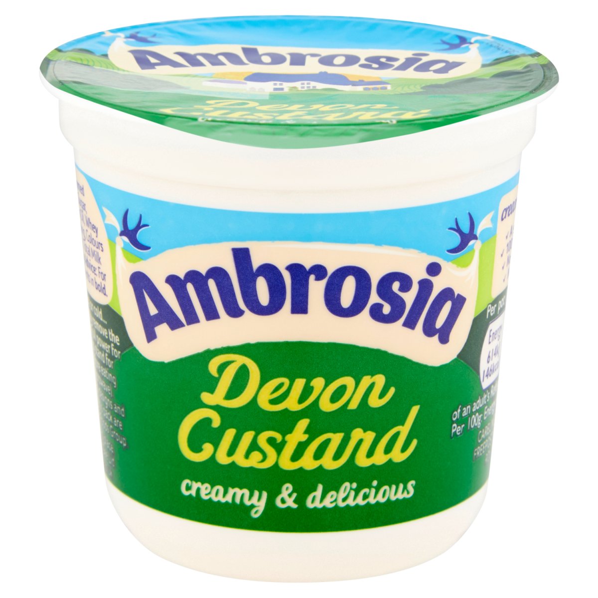 Ambrosia Custard Original Pot - Intamarque - Wholesale 0000096169001