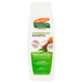 Palmers Conditioning Shampoo 400ml Coconut Oil Formula - Intamarque - Wholesale 0010181035173