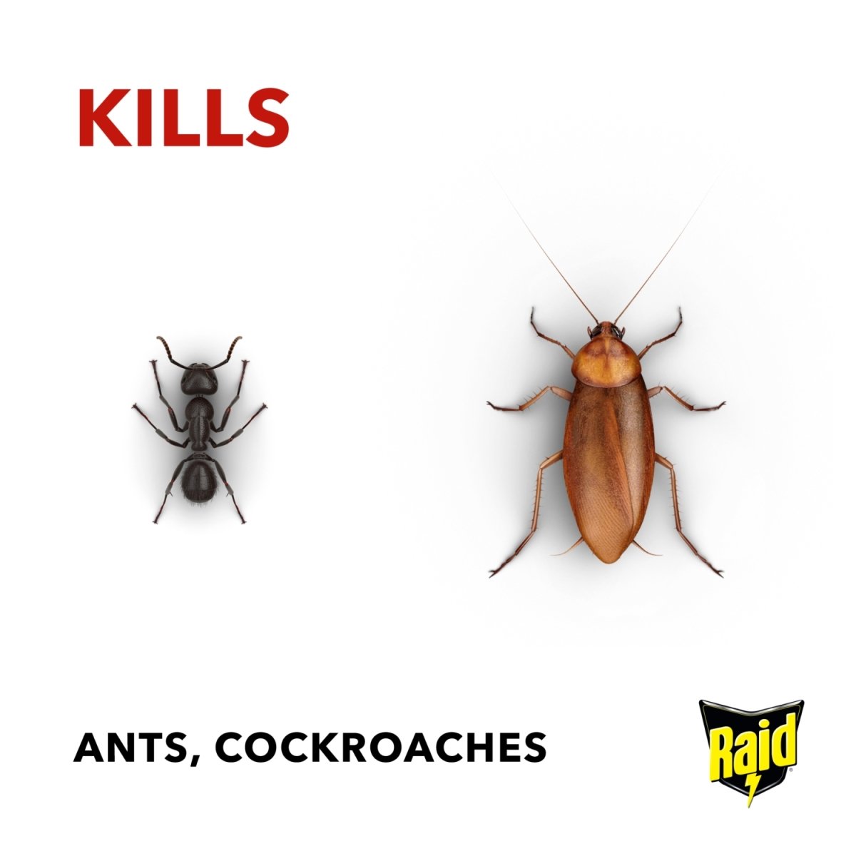 RAID Ant & Cockroach Killer (CIK) - Intamarque 5000204579376