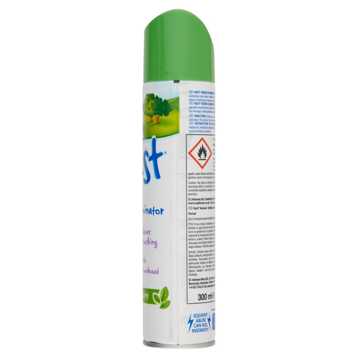 Oust Aerosol Outdoor Scent - Intamarque 5000204883510