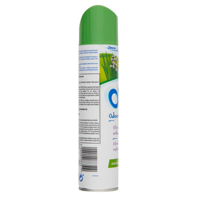 Oust Aerosol Outdoor Scent - Intamarque 5000204883510