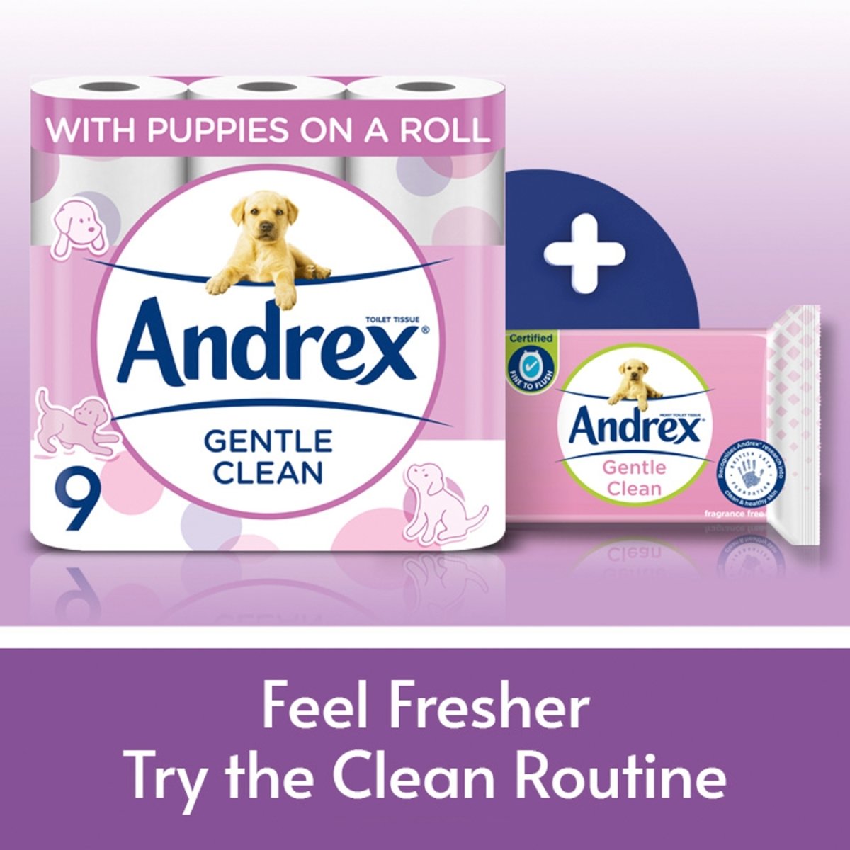 Andrex 9 Roll Gentle Clean - Intamarque 5029053571508