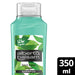 Alberto Balsam Shamp 350ml Tea Tree - Intamarque 8710908181092